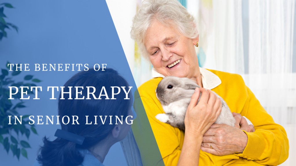 pet therapy senior living