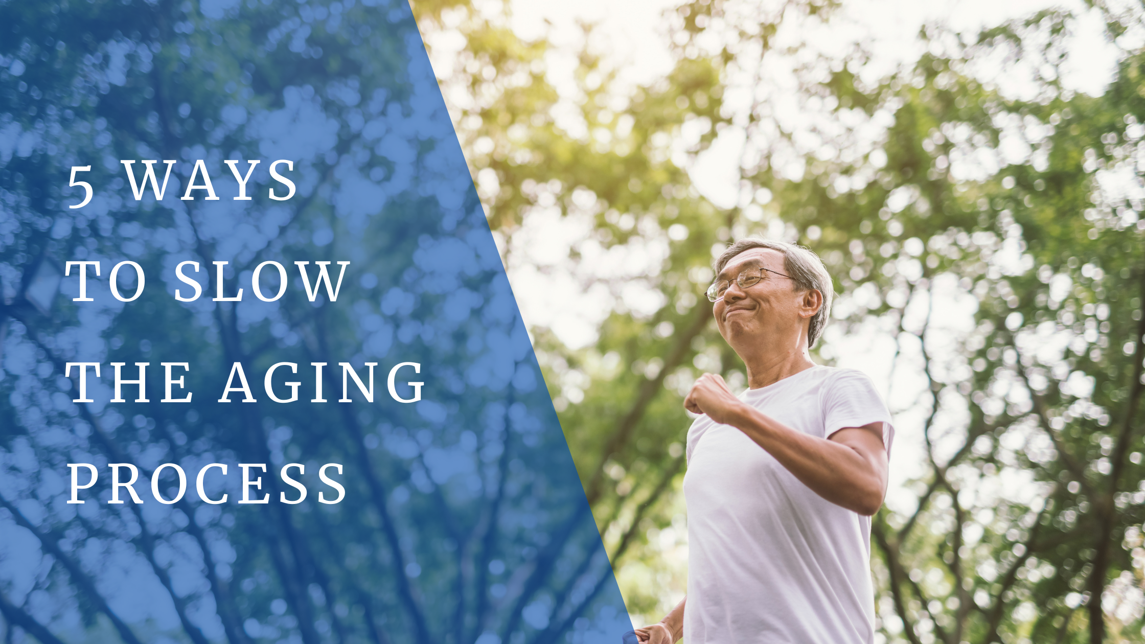 5 way slow aging process in seniors
