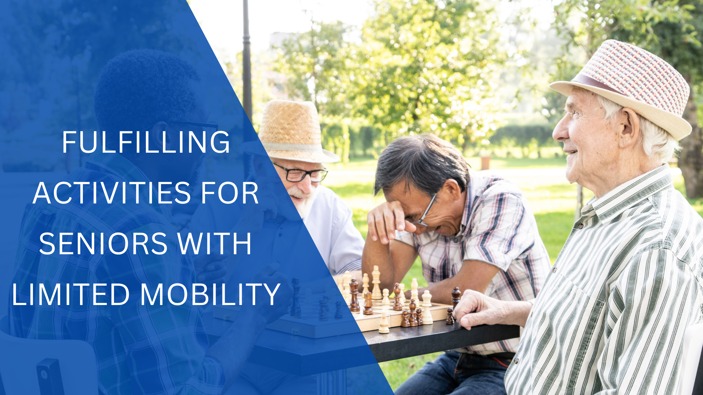 Fulfilling Activities For Seniors With Limited Mobility